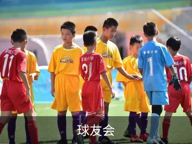 球友会官方App-下载地址-球友会